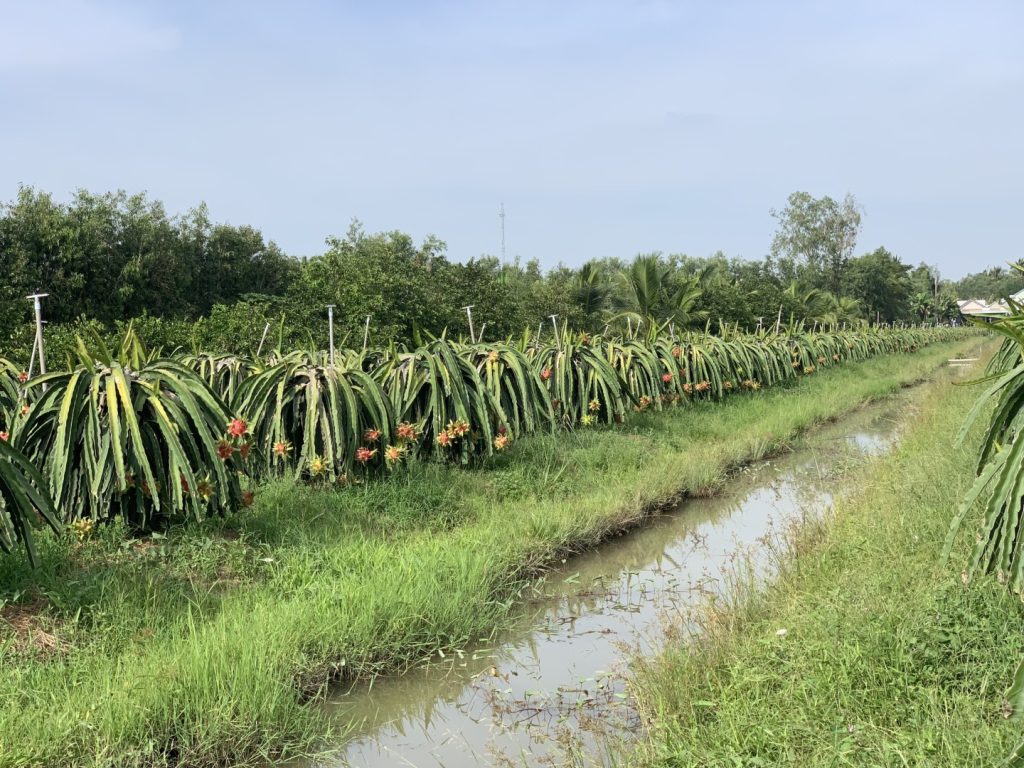 MEKONG ECO TRAVEL