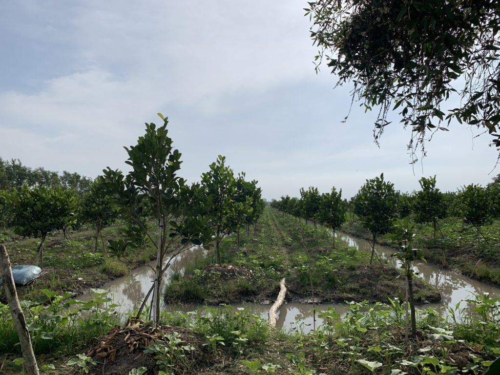 MEKONG ECO TRAVEL