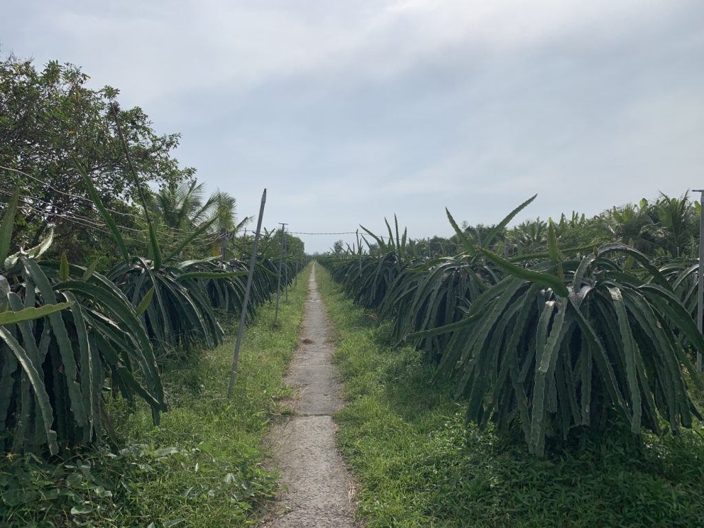 MEKONG ECO TRAVEL