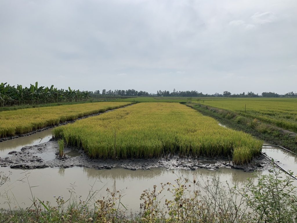 MEKONG ECO TRAVEL