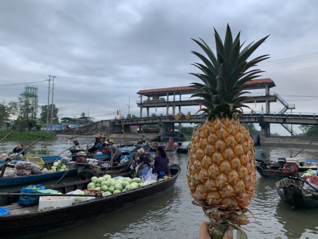 MEKONG ECO TRAVEL